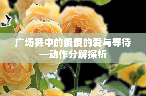 广场舞中的傻傻的爱与等待—动作分解探析