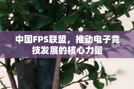 中国FPS联盟，推动电子竞技发展的核心力量