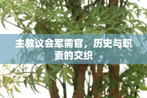 主教议会军需官，历史与职责的交织