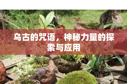乌古的咒语,神秘力量的探索与应用 乌古的咒语,神秘力量的探索与应用