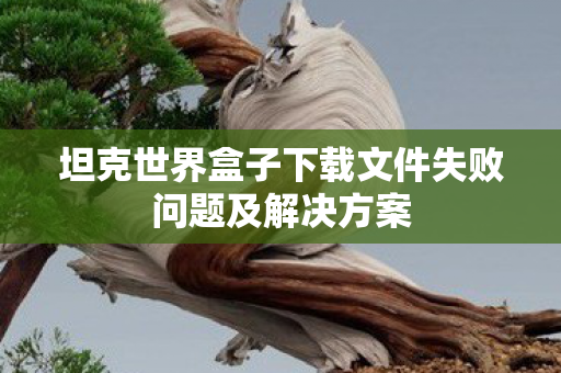 坦克世界盒子下载文件失败问题及解决方案
