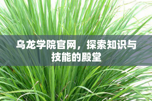 乌龙学院官网，探索知识与技能的殿堂