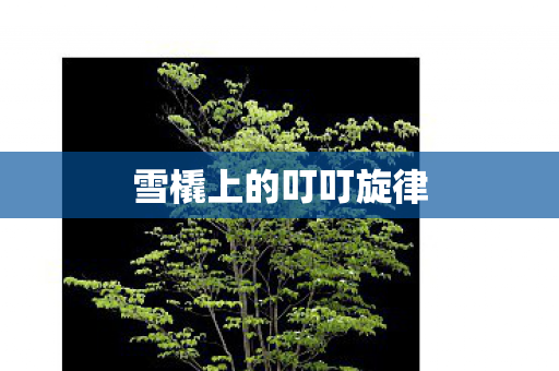 雪橇上的叮叮旋律