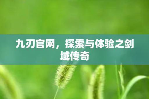 九刃官网，探索与体验之剑域传奇