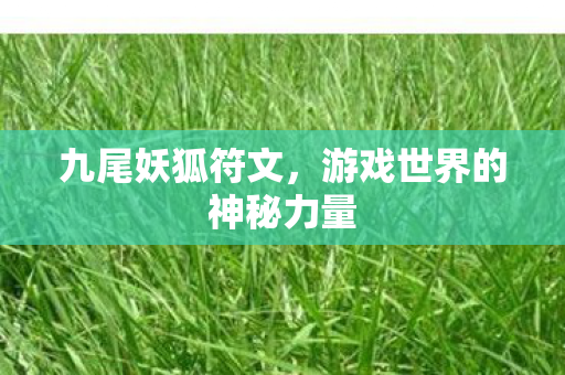 九尾妖狐符文，游戏世界的神秘力量