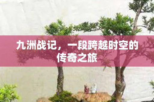 九洲战记，一段跨越时空的传奇之旅