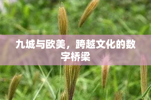 九城与欧美，跨越文化的数字桥梁