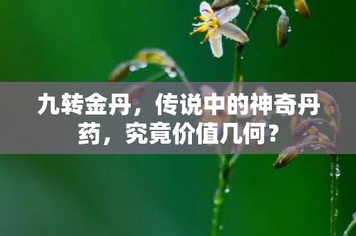 九转金丹，传说中的神奇丹药，究竟价值几何？