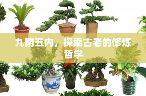 九阴五内，探索古老的修炼哲学