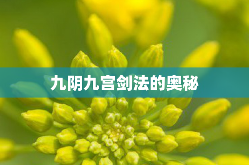 九阴九宫剑法的奥秘 九阴九宫剑法的奥秘