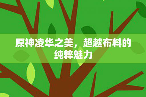 原神凌华之美,超越布料的纯粹魅力 原神凌华之美,超越布料的纯粹魅力
