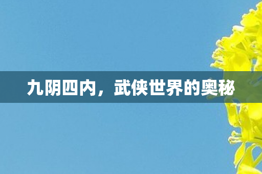 九阴四内，武侠世界的奥秘