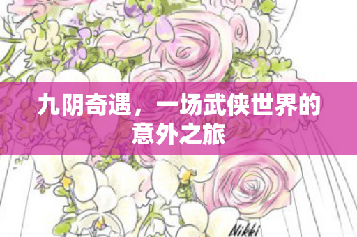 九阴奇遇,一场武侠世界的意外之旅 九阴奇遇,一场武侠世界的意外之旅