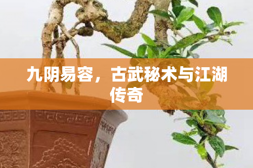 九阴易容，古武秘术与江湖传奇
