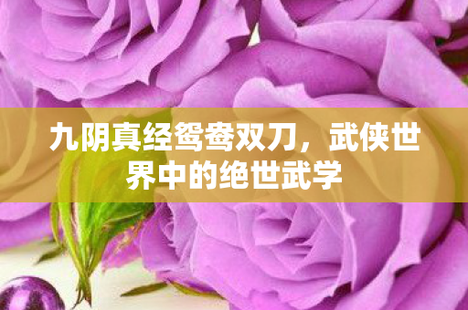 九阴真经鸳鸯双刀，武侠世界中的绝世武学