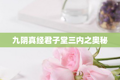 九阴真经君子堂三内之奥秘