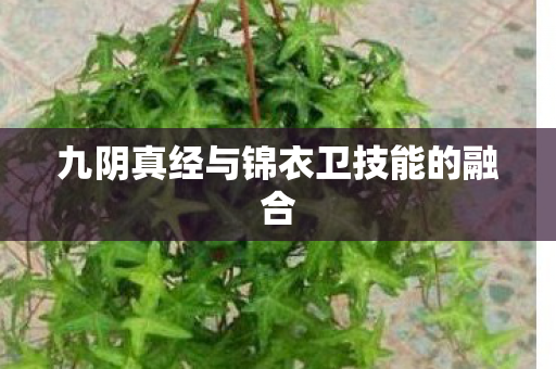 九阴真经与锦衣卫技能的融合