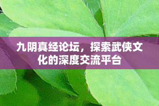九阴真经论坛，探索武侠文化的深度交流平台