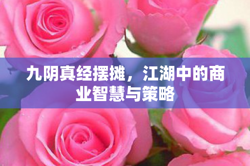 九阴真经摆摊，江湖中的商业智慧与策略