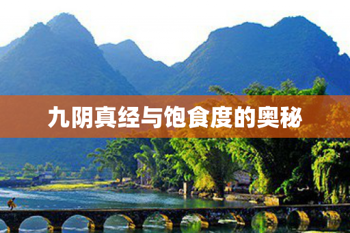 九阴真经与饱食度的奥秘