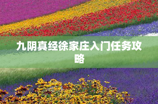 九阴真经徐家庄入门任务攻略
