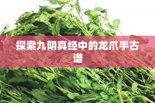 探索九阴真经中的龙爪手古谱
