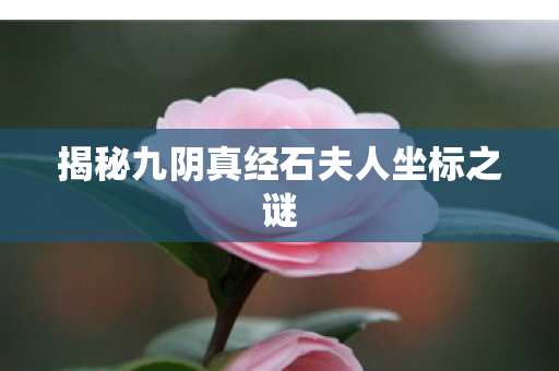 揭秘九阴真经石夫人坐标之谜