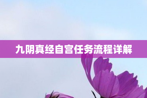 九阴真经自宫任务流程详解 九阴真经自宫任务流程详解
