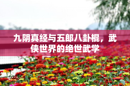 九阴真经与五郎八卦棍,武侠世界的绝世武学 九阴真经与五郎八卦棍,武侠世界的绝世武学