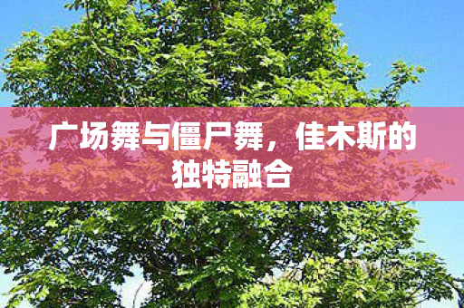 广场舞与僵尸舞，佳木斯的独特融合