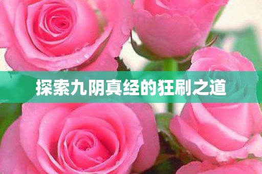 探索九阴真经的狂刷之道