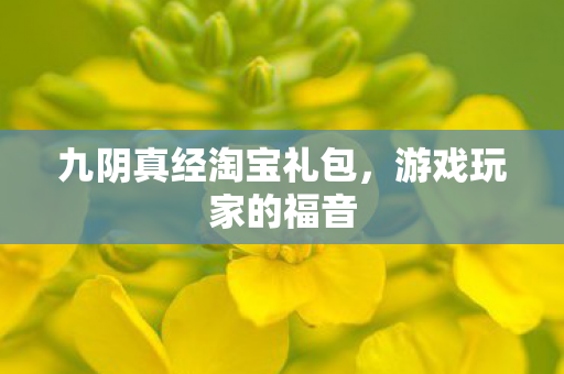 九阴真经淘宝礼包，游戏玩家的福音