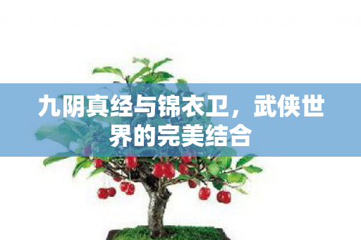 九阴真经与锦衣卫，武侠世界的完美结合