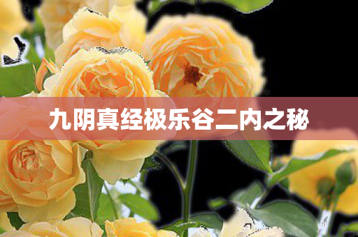 九阴真经极乐谷二内之秘