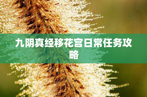 九阴真经移花宫日常任务攻略