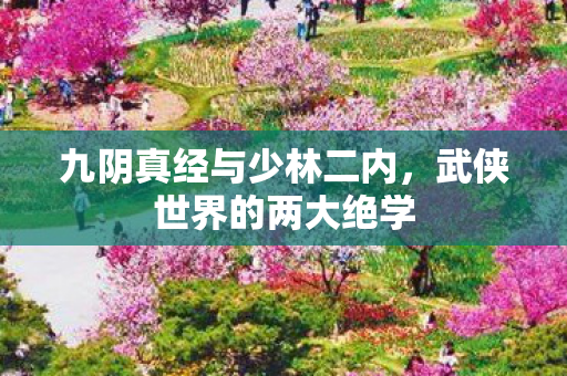 九阴真经与少林二内，武侠世界的两大绝学