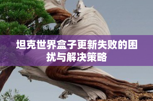 坦克世界盒子更新失败的困扰与解决策略
