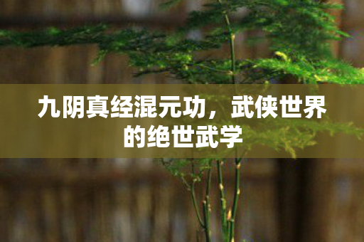 九阴真经混元功，武侠世界的绝世武学
