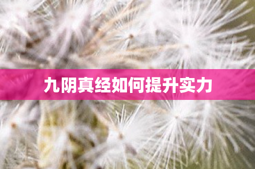 九阴真经如何提升实力