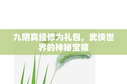 九阴真经修为礼包,武侠世界的神秘宝藏 九阴真经修为礼包,武侠世界的神秘宝藏