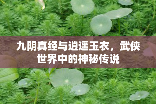 九阴真经与逍遥玉衣，武侠世界中的神秘传说