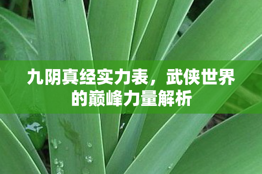 九阴真经实力表,武侠世界的巅峰力量解析 九阴真经实力表,武侠世界的巅峰力量解析