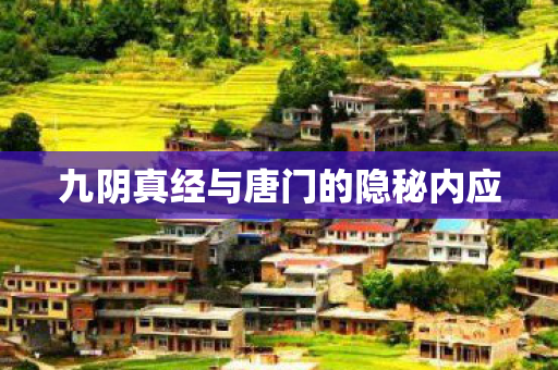 九阴真经与唐门的隐秘内应 九阴真经与唐门的隐秘内应
