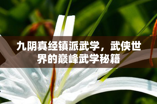 九阴真经镇派武学，武侠世界的巅峰武学秘籍