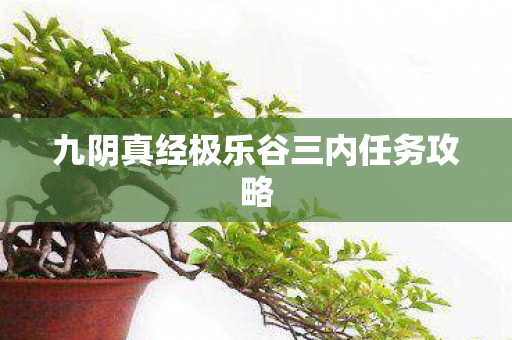 九阴真经极乐谷三内任务攻略