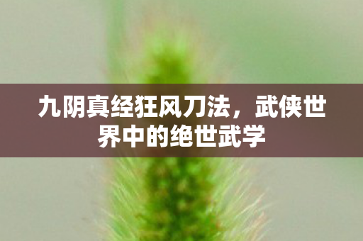 九阴真经狂风刀法，武侠世界中的绝世武学