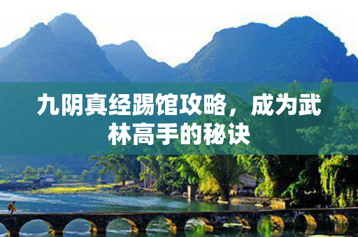 九阴真经踢馆攻略，成为武林高手的秘诀