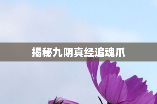 揭秘九阴真经追魂爪