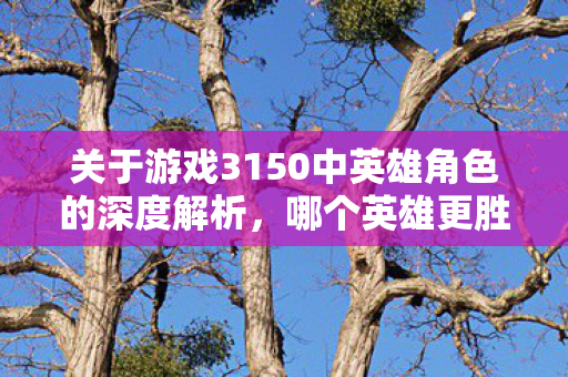 关于游戏3150中英雄角色的深度解析，哪个英雄更胜一筹？