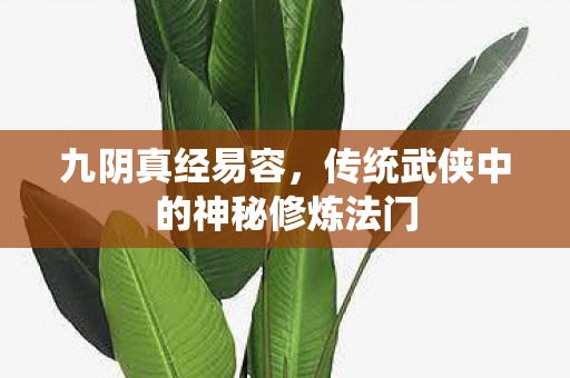 九阴真经易容，传统武侠中的神秘修炼法门